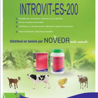 Introvit ES-200 : Additif pour bovins, ovins, caprins et volailles